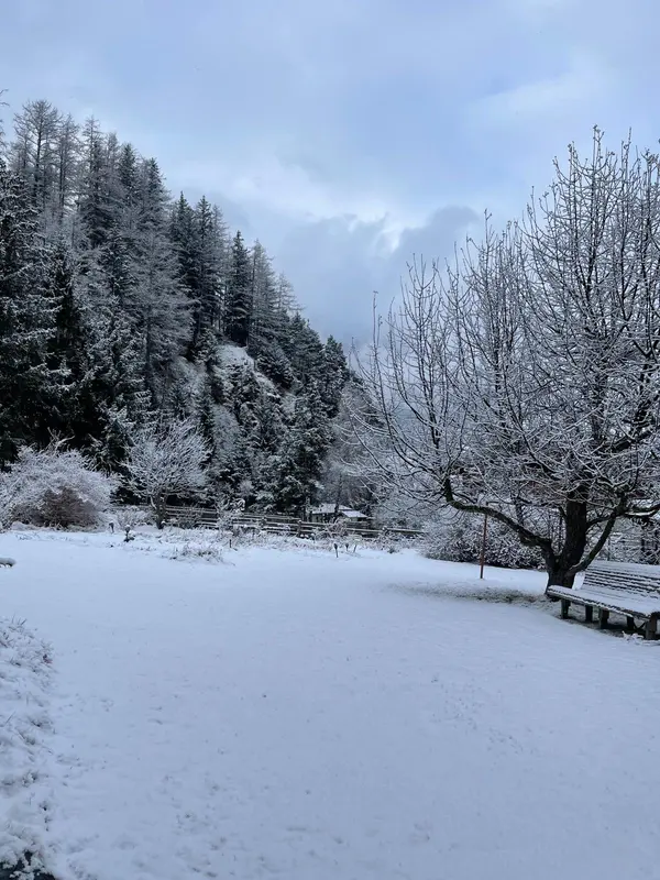 Garten im Winter
